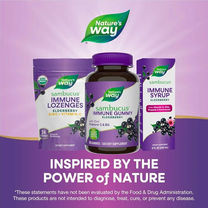 Nature’s Way Sambucus Elderberry Gummies, Immune Support Gummies*, Black Elderberry with Vitamin C and Zinc, 60 Gummies