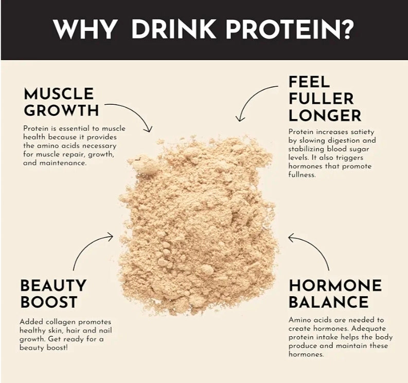 JUST INGREDIENTS Protein Powder | Vanilla Protein Powder Made with 100% Grass Fed, Non Denatured Whey | Four Different Protein Sources from Organic Whole Food Ingredients | 15 Servings | 22g Protein
