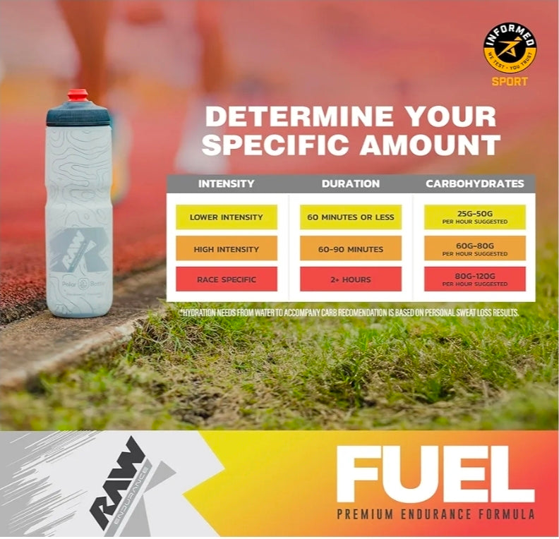 RAW Fuel, Premium Endurance Supplement Powder, Orange (60 Servings) - Peak Performance, Hydration & Stamina During Workouts, Training or Competition - 24g of Carbohydrates & 300mg of Sodium