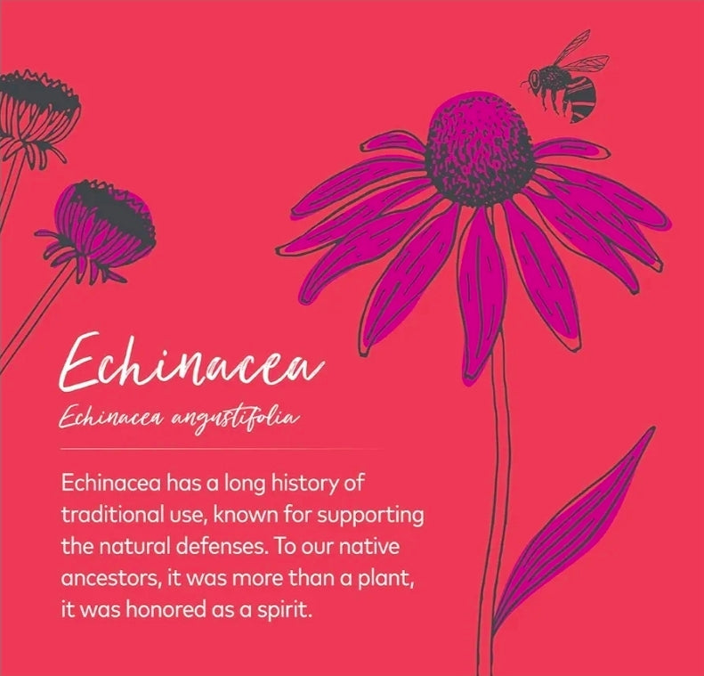 Gaia Herbs Echinacea Supreme Liquid Phyto-Capsules, 30 Count